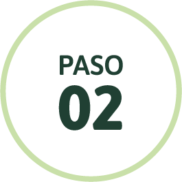 Paso 2